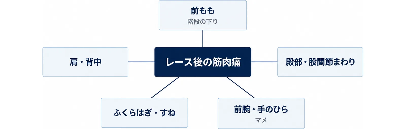 レース後の筋肉痛を中心に、前もも・殿部・前腕・ふくらはぎ・肩の5部位を並べた図