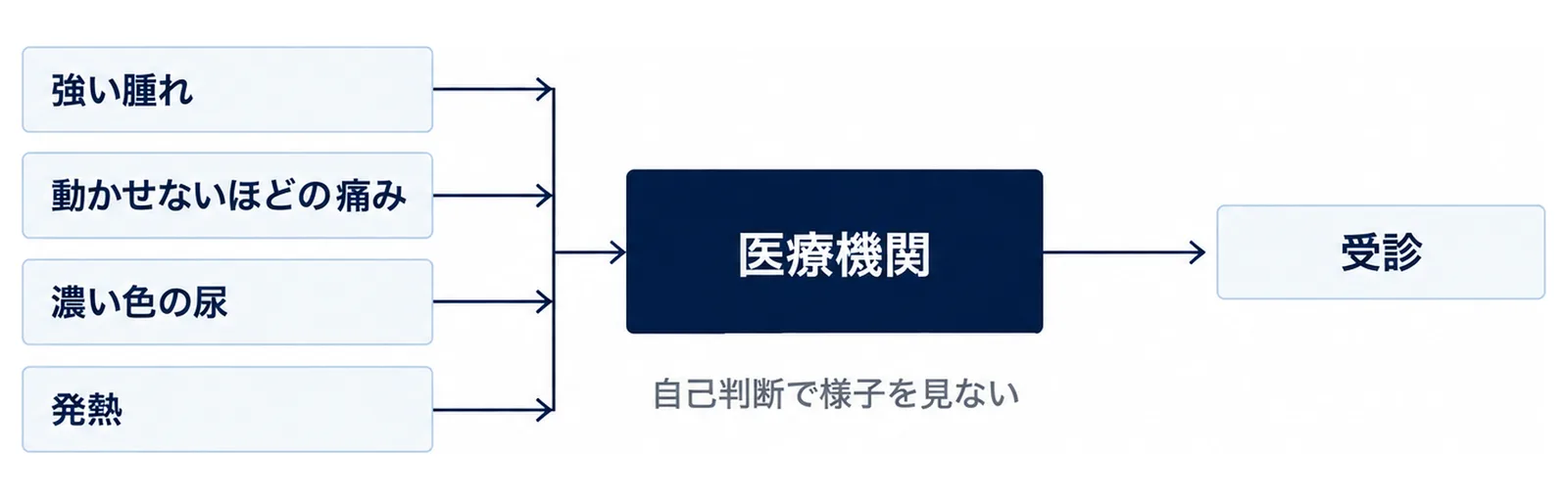 強い腫れ・動かせない痛み・濃い色の尿・発熱がある場合は医療機関へ進む判断図