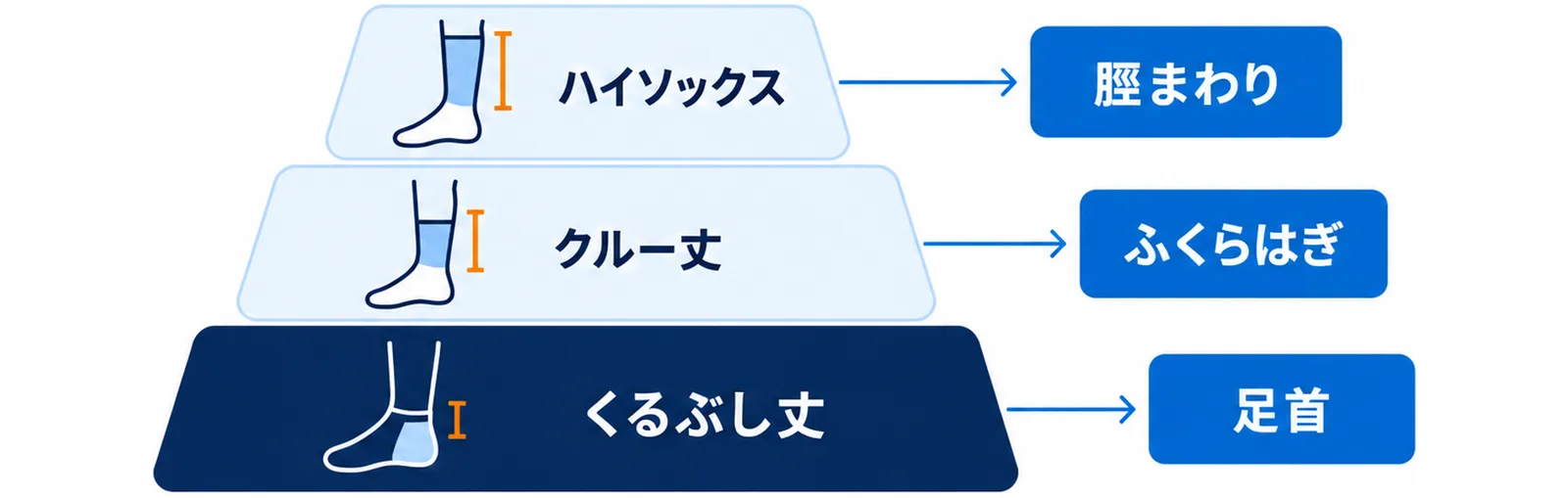 くるぶし丈・クルー丈・ハイソックスの3つの丈が守る範囲の違いを示した図
