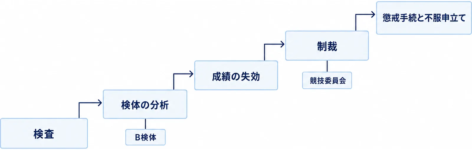 検査から制裁と不服申立てまでの流れを段で示した図